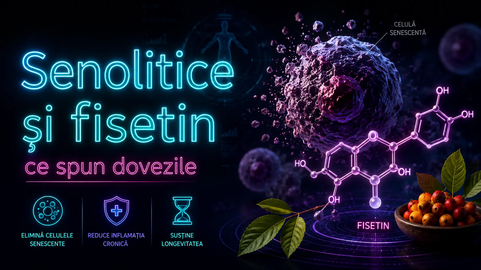 Senolitice și fisetin: dovezi